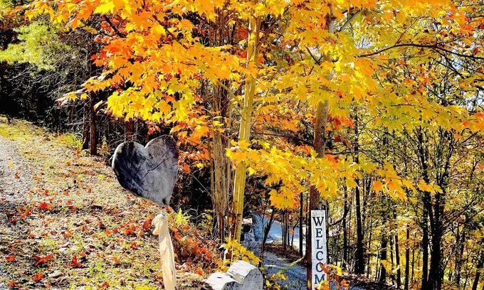 Newport Cabin | Cozy 2-bedroom cabin with hottub in welcoming Newport with AC, WiFi