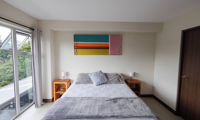 San Jose Apartment | Cozy Apartment close to the nicest parts of San jose, 15 min to SJO airport