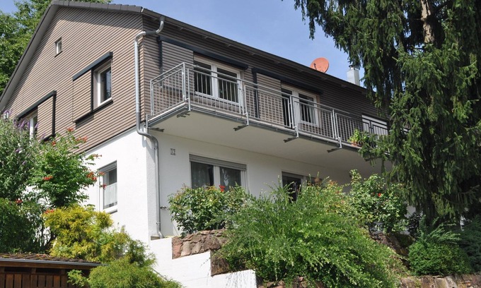 Neckargemuend Apartment | Cozy apartment with a private terrace near the forest near Heidelberg
