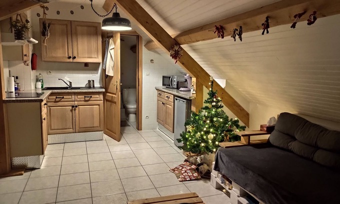 Fouchy Apartment | Cozy apartment with views of the mountains!