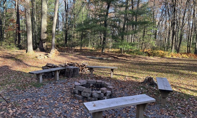 Lock Haven Cabin | Cozy Cabin in the heart of the Big Woods