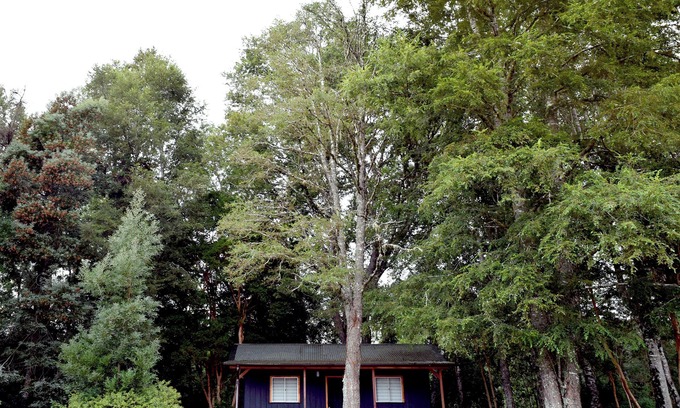 Valdivia Cabin | Cozy cabin nestled in the Valdivian Forest