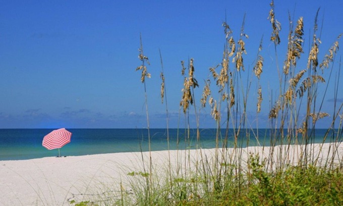 Siesta Key Cottage | Cozy, Clean & Crazily Convenient