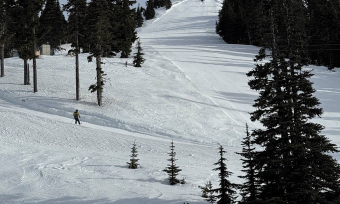 Courtenay Condo | Cozy condo on Mt Washington. Ski, bike, and hike the resort near Comox Valley.