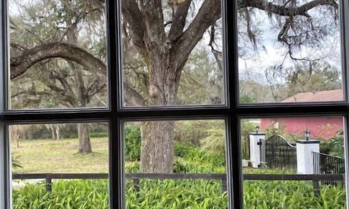 Fellowship Other | Cozy - Dog Friendly Farmhouse near HITS, WEC & Springs