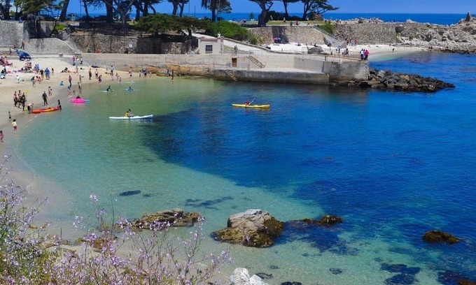 Pacific Grove Cottage | Cozy get-away in Pacific Grove (Pet Friendly!)