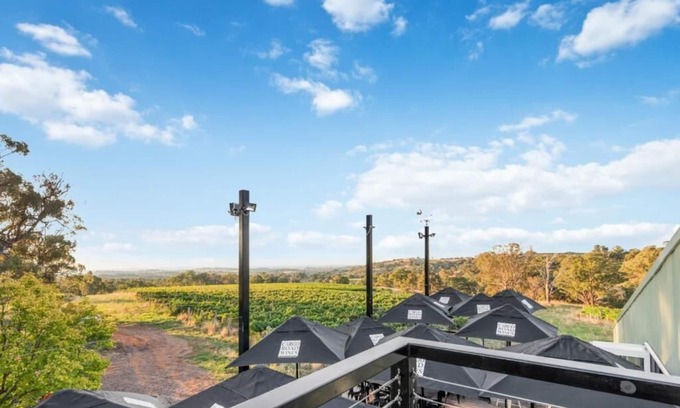 Lidster Bed & Breakfast | Cozy Getaway with Beautiful Vineyard views in the middle of wine region!