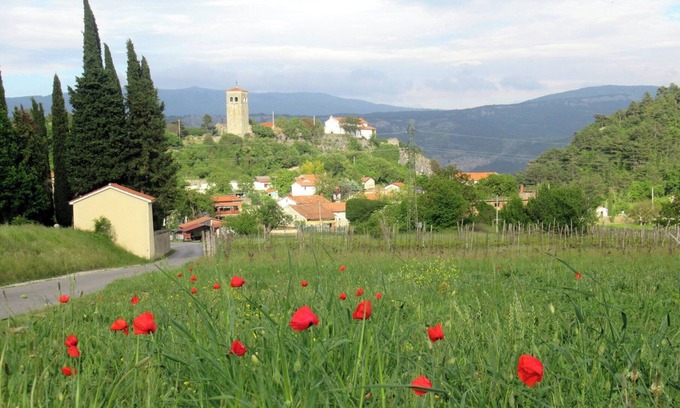 Kubed Apartment | Cozy Holiday Apartment in the Countryside 15 Minutes From the sea in Koper
