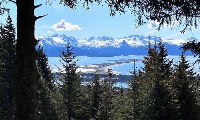 Homer Cabin | Cozy home with a view, newly remodeled.