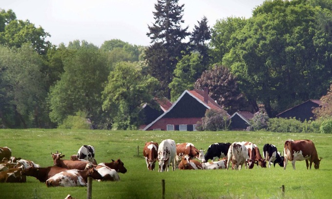 Winterswijk - Brinkheurne House | Cozy lodge in the Achterhoek