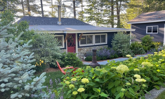 Winchester Cottage | Cozy Lakefront Cottage On Forest Lake- Live the Lake Life!