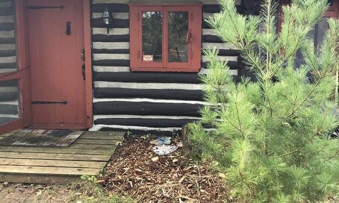 Bitely Cabin | Cozy log cabin on the banks of the Little South Branch, Pere Marquette River