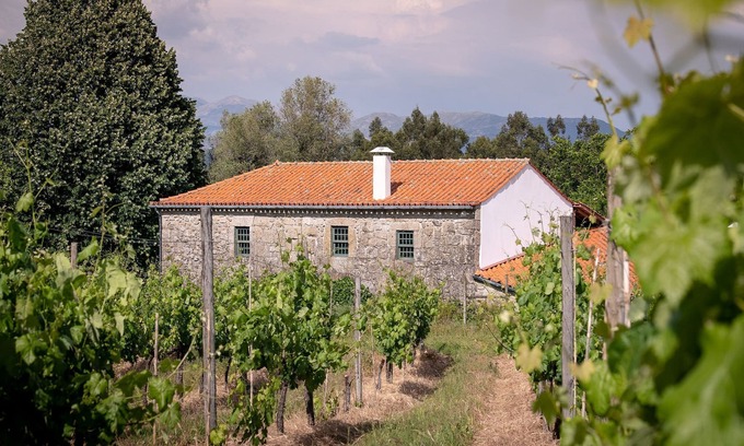 Santa Cruz do Lima Villa | Cozy Mansion in Ponte de Lima with Swimming Pool