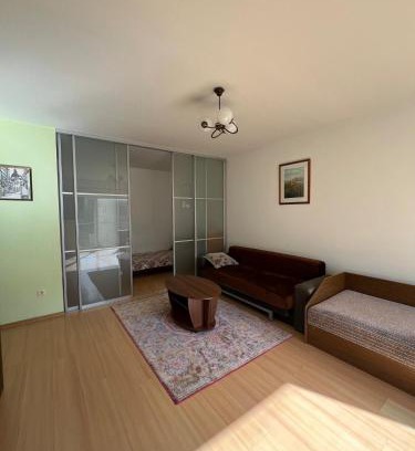 Vilnius city municipality Apartment | Cozy Maumedziu apartment