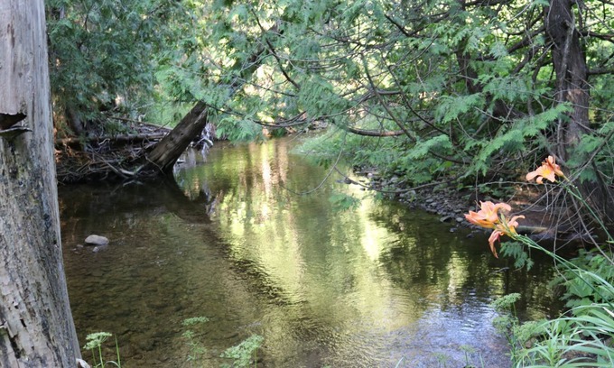 Mono Cottage | Cozy modern river side cottage surrounded by forests, waterfalls and streams