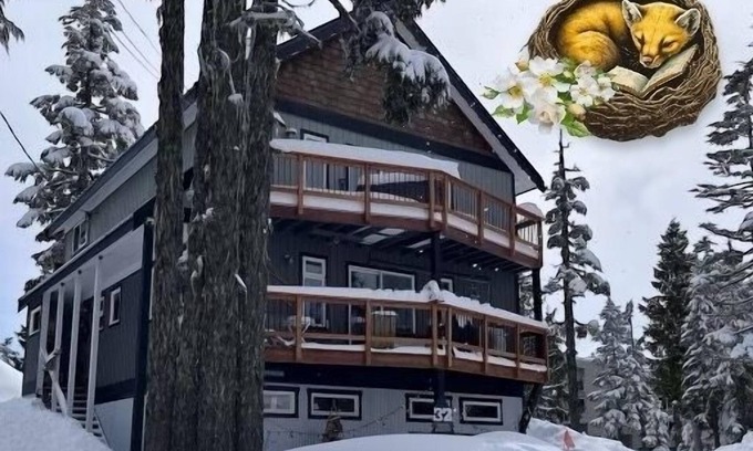 Courtenay Ski Chalet | Cozy MW Alpine Village 1br. Close to the alpine lodge and hikes in the meadows!