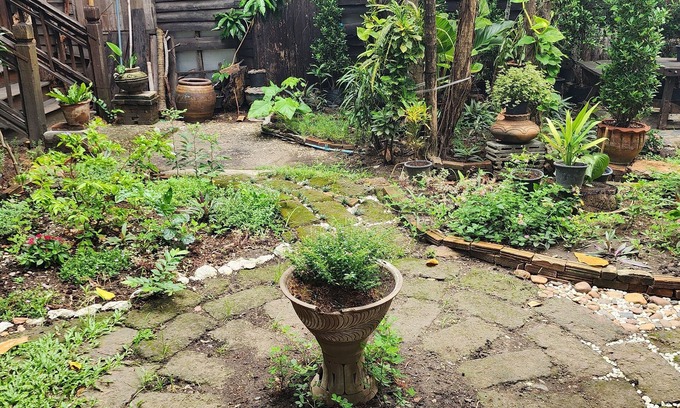 Wat Ket Bed & Breakfast | Cozy Nest CNX in the heart of Chiangmai. walking distance train and bus station.