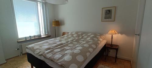 Kajaani Apartment | Cozy renovated flat in Kajaani center (alv. vähennyskelpoinen)