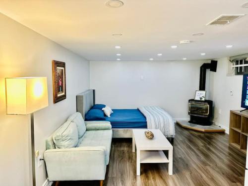 Dorset Park Apartment | Cozy Studio Bsmt in Scarborough Central