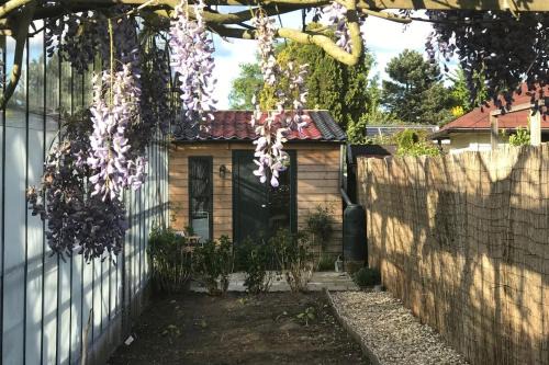 Rijsenhout Ski Chalet | Cozy tiny house close to Schiphol Ams Airport