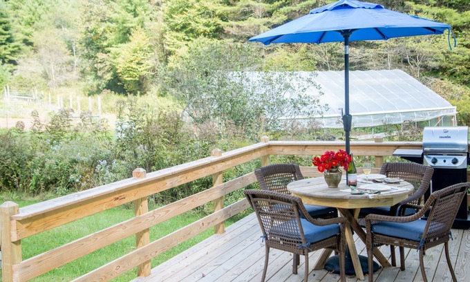 Dugspur Cottage | Creekside Cottage Near Floyd, VA, and Blue Ridge Parkway with deck and gas grill