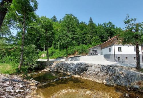 Dane House | Creekside House with pool