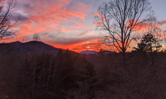 Leicester Apartment | Critter Hill Studio Apt. close to downtown Asheville and the Blue Ridge Parkway