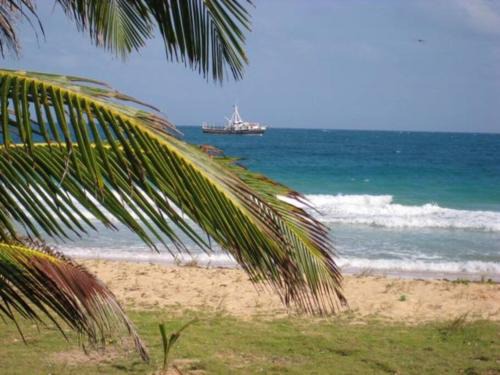 Corn Island Apartment | 'Crows Nest' Studio Apt.