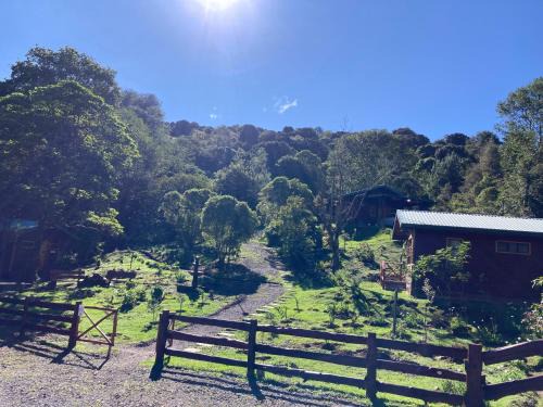 Canton Dota Cabin | Curuba Lodge