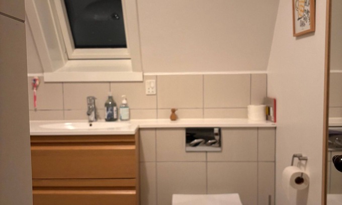 Bronshoj House | Cute and authentic 4-bedroom townhouse