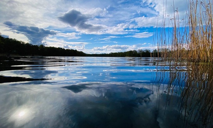 Bohmerheide House | Cute Bungalow on the lake, - to relax and unwind - idyllic location