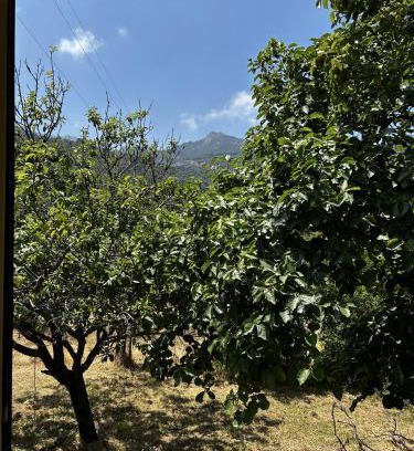 Marciana House | Da Davide