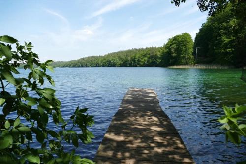 Feldberger Seenlandschaft Apartment | Dachstudios Alte Mühle