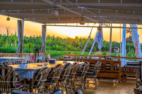 Aswan Boat Rental | Dahbyia Nile Cruise Golavita