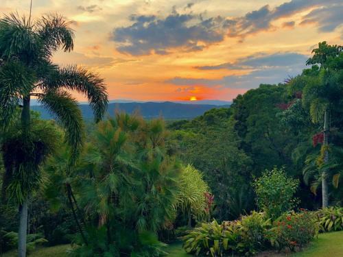 Forest Creek Bed & Breakfast | Daintree Manor B&B