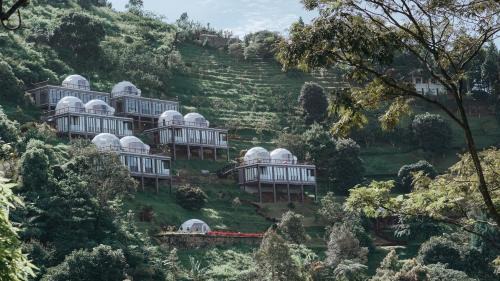 Cisarua Hotel | Damar Langit Resort