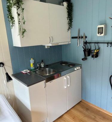 Voll Apartment | Damehuset