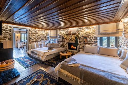 Metsovo Apartment | Dandy Villas Metsovo-Mezzo-Down Town-Up 5