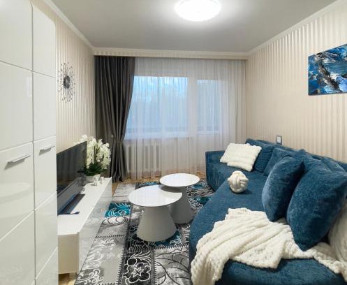 Panevezys Apartment | Dani apartment