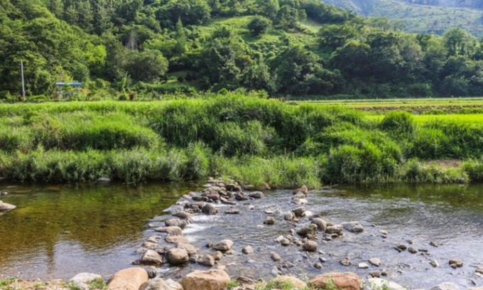 Danyang House | Danyang Hail Handmi Hanok Pension