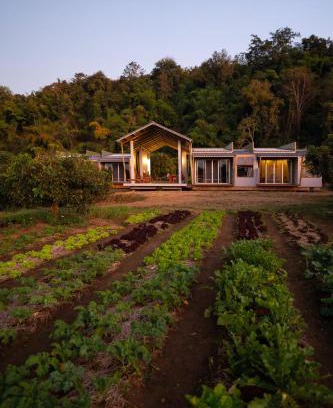 Chiang Dao Other | Daraga ดารกะ