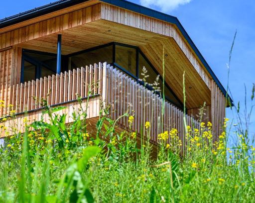 Maria Alm am Steinernen Meer Apartment | Das Hillside Maria Alm Hintermoos