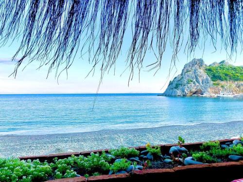 Hayitbuku Bed & Breakfast | Datca Masal Gibi
