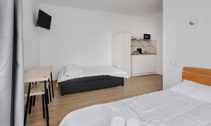Cluj-Napoca Apartment | DD Boutique Apartments - Studio with Sofa Bed