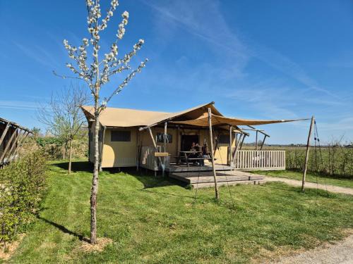 Kekerdom Other | De Hazelaarshof- luxe XL-glampingtent (7-8 personen) nabij De Millingerwaard