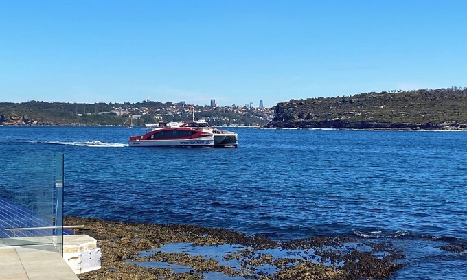 Manly Apartment | Delightful studio on the harbour