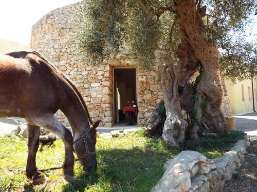 Morciano di Leuca Hotel | Delle Rose Horses Club