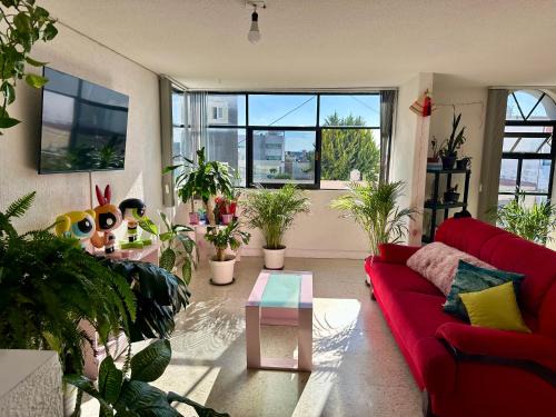 Pachuca Apartment | Departamento céntrico compartido