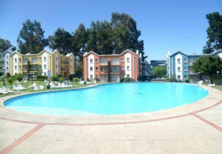 Mirasol Apartment | Depto Algarrobo Mirasol
