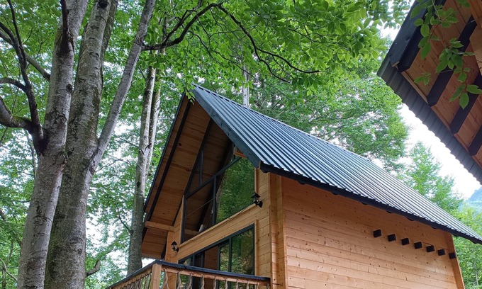 Rize Cabin | Dere Kenarı Orman içi dağ evi